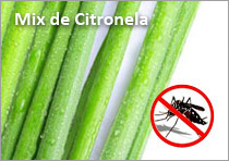 Mix-de-Citronela